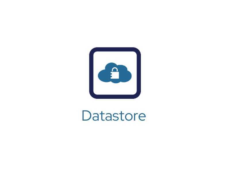 Datastore Logo